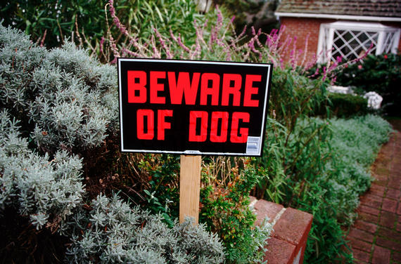 Dog bite, attack, warning