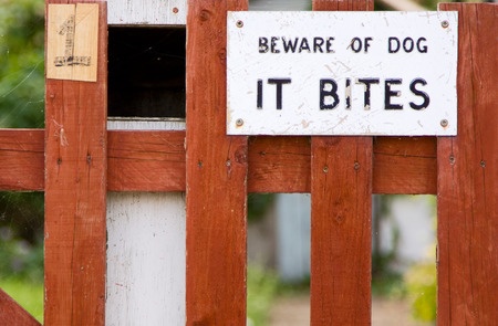Dog Bite Triggers, Dog Bite Attorney Orange County