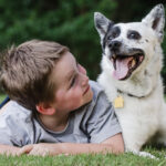 Dog safety tips to avoid bites: Child playing with his pet dog